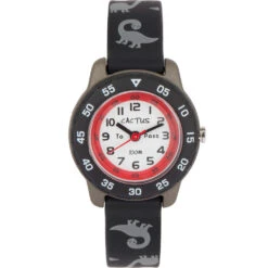 Cactus Time Teacher CAC124M01 Dinosaur