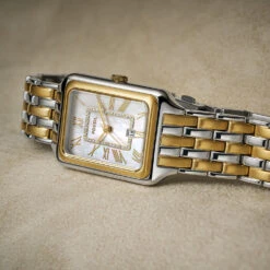 Fossil Raquel ES5304 11 Fossil Raquel ES5304 -Fashion Watches Shop 30266181 n 58798ce2 5638 42ed bb17 f8fc19af060b