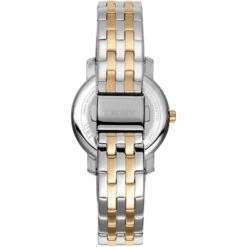 DKNY Astoria Glitz DK1L065M0065 -Fashion Watches Shop 30271696 c